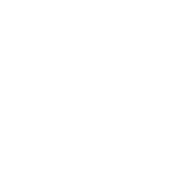 Borbolet blanco 3